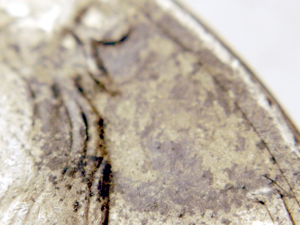 JFK-Half-Dollar-Roll-Hunters:-Silver,-Proofs-And-Other-Finds